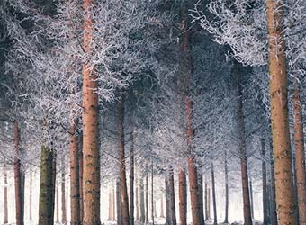 年度榜单丨2025全球大容量（280Ah+）储能锂电池出货量TOP10排行榜！